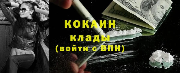 твердый Аркадак