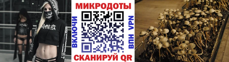 Галлюциногенные грибы Cubensis  гидра зеркало  Пыталово  купить  цена 